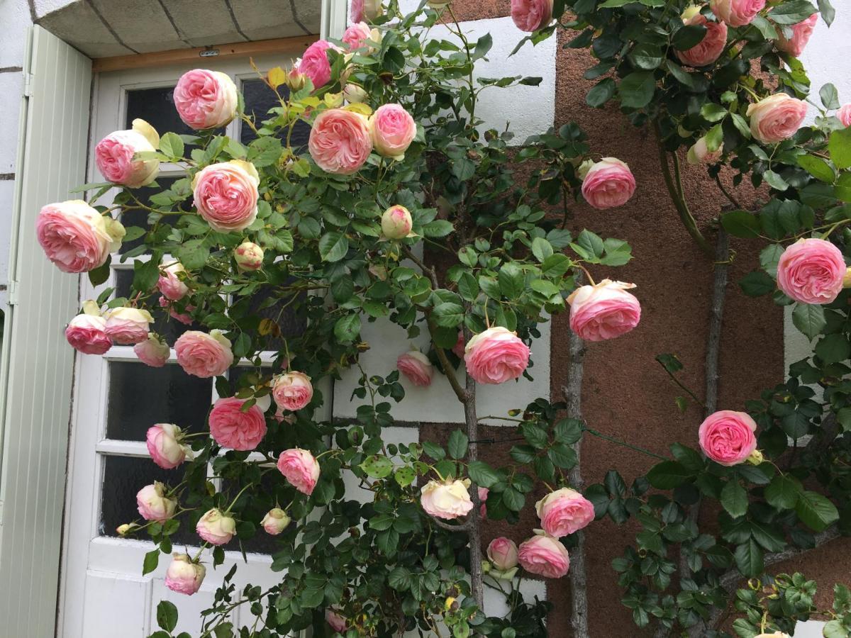 Bed and Breakfast La Bauldiniere Tauxigny Esterno foto